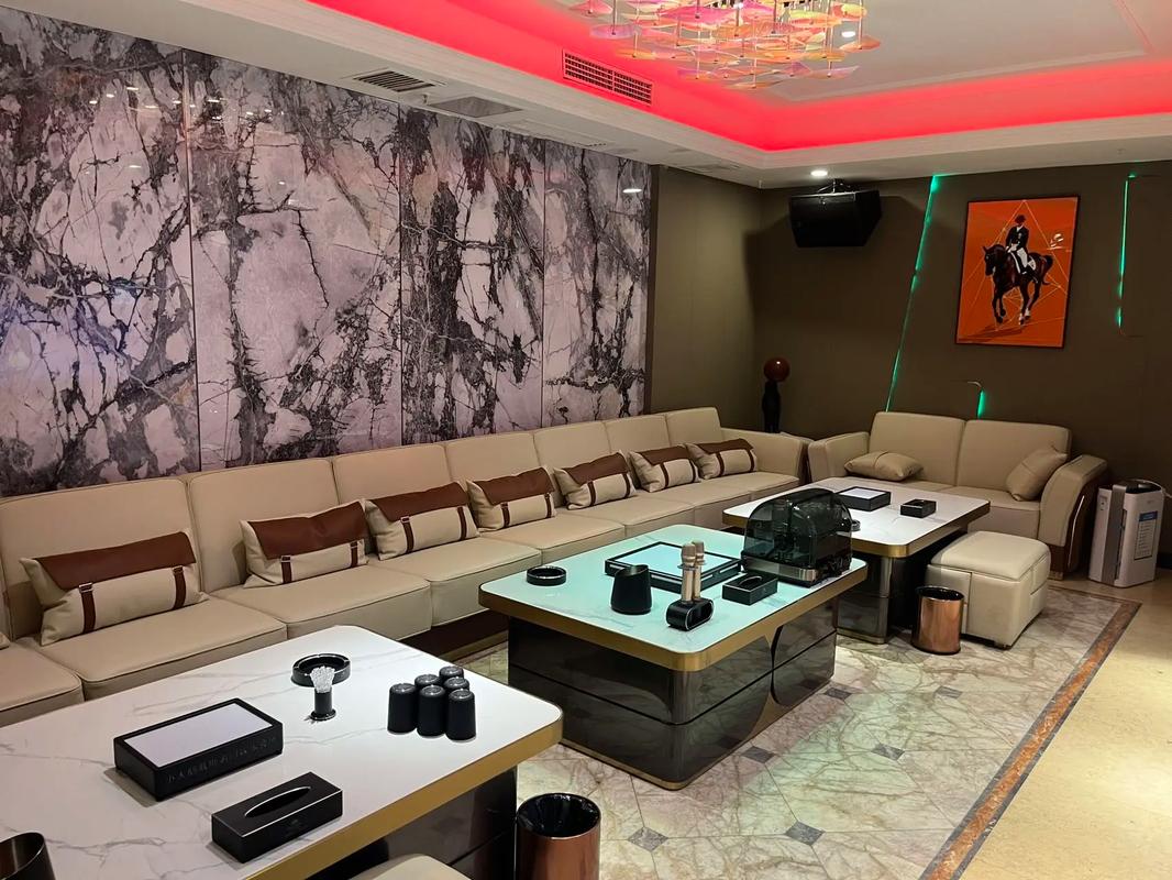 武汉商务ktv介绍及商务ktv有没有优势-蔡甸区ktv预订